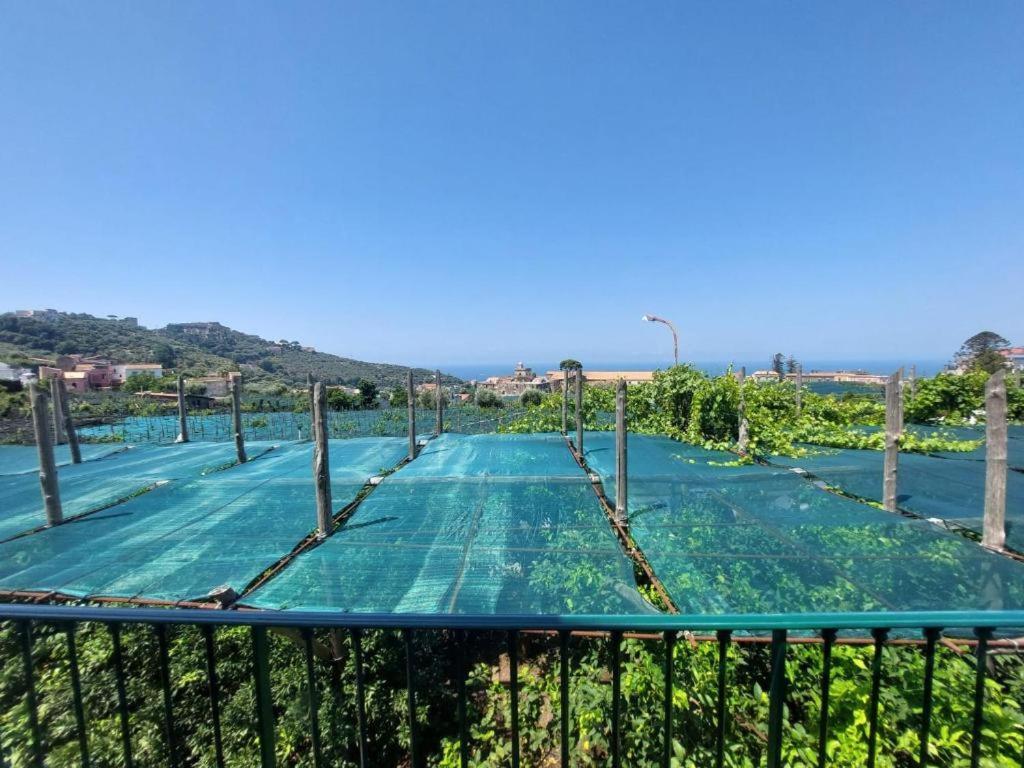 Il Pozzillo Maison 马萨鲁布朗斯 外观 照片
